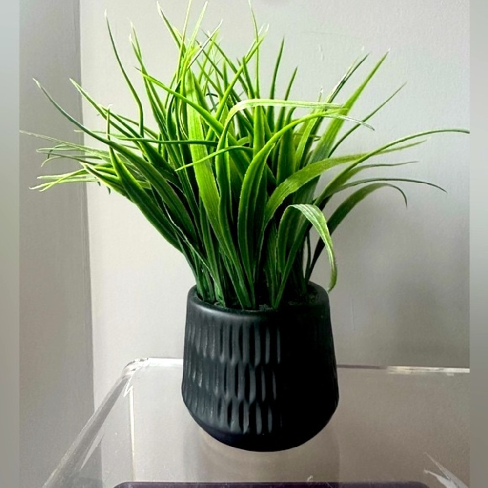 Faux Foliage Grass in Ceramic Pot